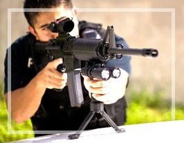 Bipod Vertical Foregrip